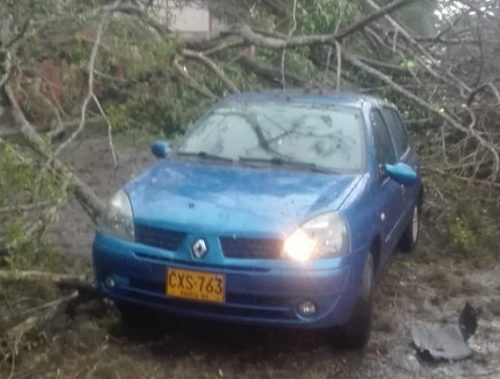 Ca Da De Rbol Por Poco Termina En Tragedia Qhubo