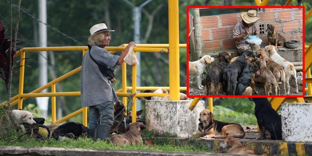 En la actualidad, don Alimaquito García duerme en la calle con sus animales. Foto: Jorge Cuellar/ Q’Hubo.